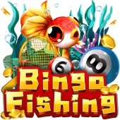 Cau Ca Bingo bongdanet ban ca